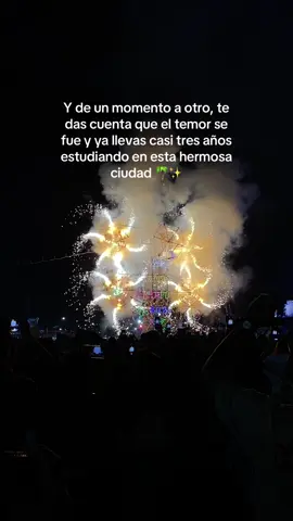 Viviendo una experiencia hermosa, los fuegos artificiales todo que ver🤩 #tarapoto_perú🇵🇪💚🌴 #fyp 