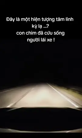 tâm linh kỳ lạ#suhuongtiktok #vuchoc #tuhaovietnam #laixe #tamlinh 