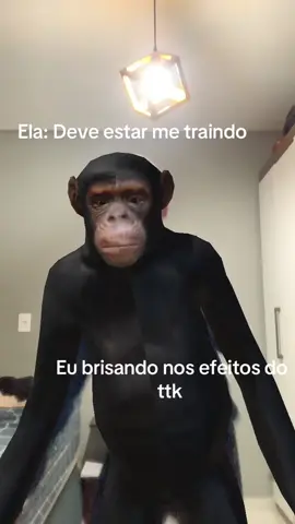 Kkkkkk#nois #fy #chipanzinebananine #kkkkkkkkkkkkkkkkkk😂😂😂😂😂😂😂🤣ቅንኢ 
