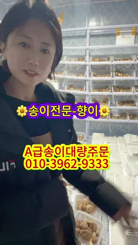 자연산송이버섯 오늘도 열심히 작업중입니다! 송이는 가격보다 맛있는산지 향이찐한송이, 선도가 생생한 송이가 우선입니다~ 진짜 좋은 송이 원하시는 분들 주목해주세요!#송이버섯 #백두산 #자연산 #추천 #향이