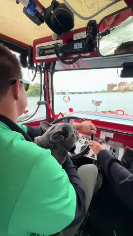 How many stars would you rate me??