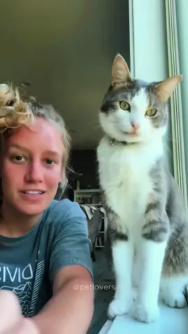 When your cat turns from angel to demon in 0.1s #cat #catsoftiktok #pet #PetsOfTikTok #funnycat #funnypets #fyp 