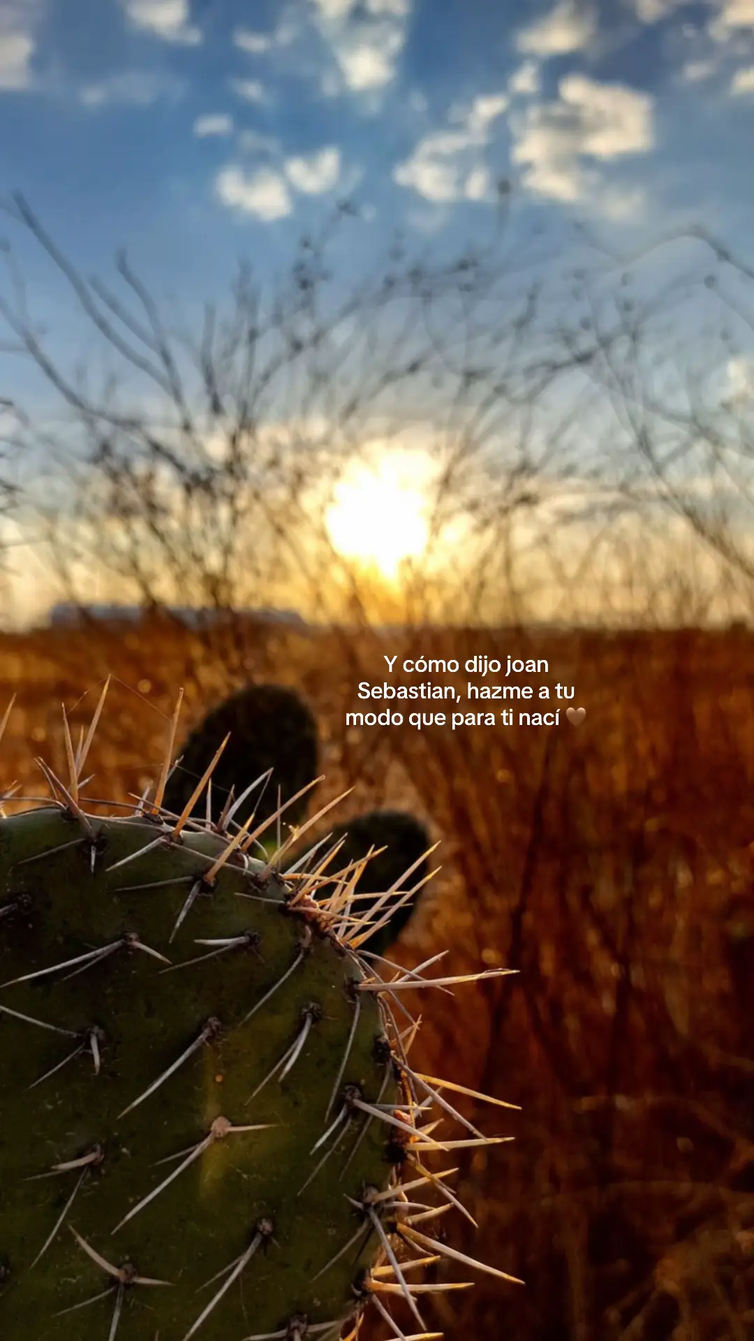 🌵❤️‍🔥#joansebastian #todos #foryoupage #todos #tiktok 