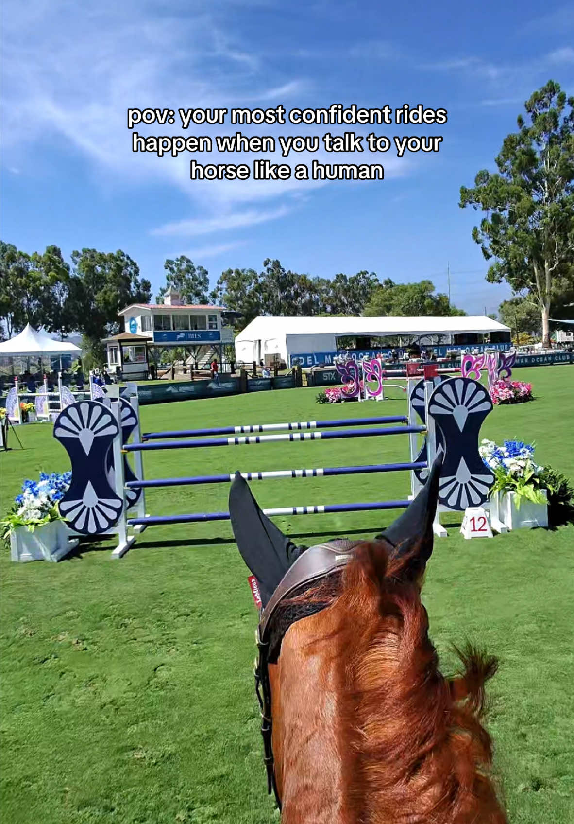 This felt SO good. Ruby was awesome today in our 1.30m schooling round 🧡 We are adjusting to some new training approaches we’re trying, like rebalancing him on the move and at speed instead of compromising his stride and speed shortly after each fence…and it’s working!  We didn’t over-add anywhere, we were flowing & going, and most importantly, we weren’t fighting!! I didn’t get dragged. Didn’t get pulled. I let him shine where he’s most comfortable, which is on the go 🏎️💨  I couldn’t care less about the 2 rails early in the course, as his confidence continued to grow throughout the rest of the round & so did mine. I believe in this horse & his potential so very much. I believe that talking to him through the course helps his confidence & deepens our connection as well 🙏🏼  Excited for the rest of the week!  #equestrian #equestrianlife #equestriansoftiktok #horsetok #hunterjumper #showjumping #horsejumping #povride #horsegirl #adultammy #horsesoftiktok #horseshow #horseshowlife 