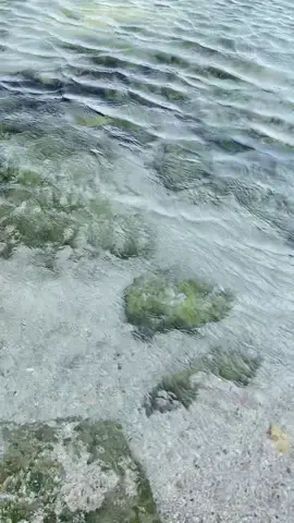 Rekomendasi pantai digunung kidul nihh… #rekomendasi #rekomendasipantaijogja #pantaigunungkidul🌊✨ #pantaingetungunungkidul #pantaingetunyogyaka🌊🥰 