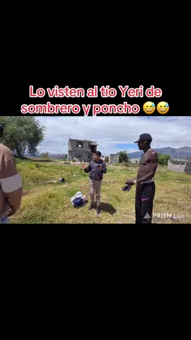 @HORMIGUITA WILSIN @Yeri LOKOLOKO #LIVEIncentiveProgram #GoLIVEGrowFast #PaidPartnership 