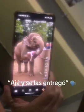 Jajajajaja una disculpa la cámara #ia #mamá #fyp 