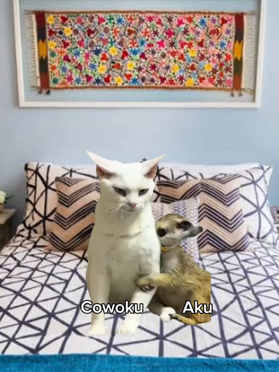 abis itu minta seblak 😌💔 #meme #memekucing #kucingtiktok #kucinglucu #fyppppppppppppppppppppppp 