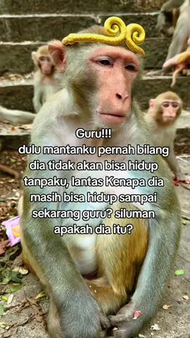 siluman apakah dia syifu 😭#wukong #sungokongkerasakti #bhiksutong #perjalanankerasakti #katakatakerasakti 
