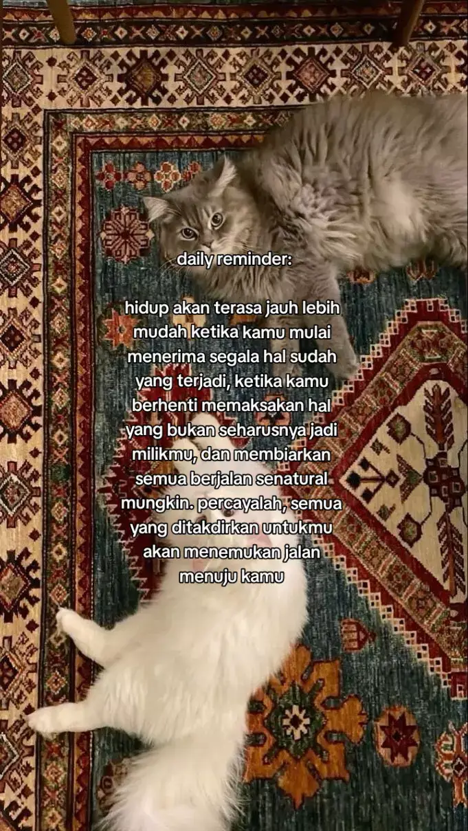 #foryou #foryoupage #xyzbca