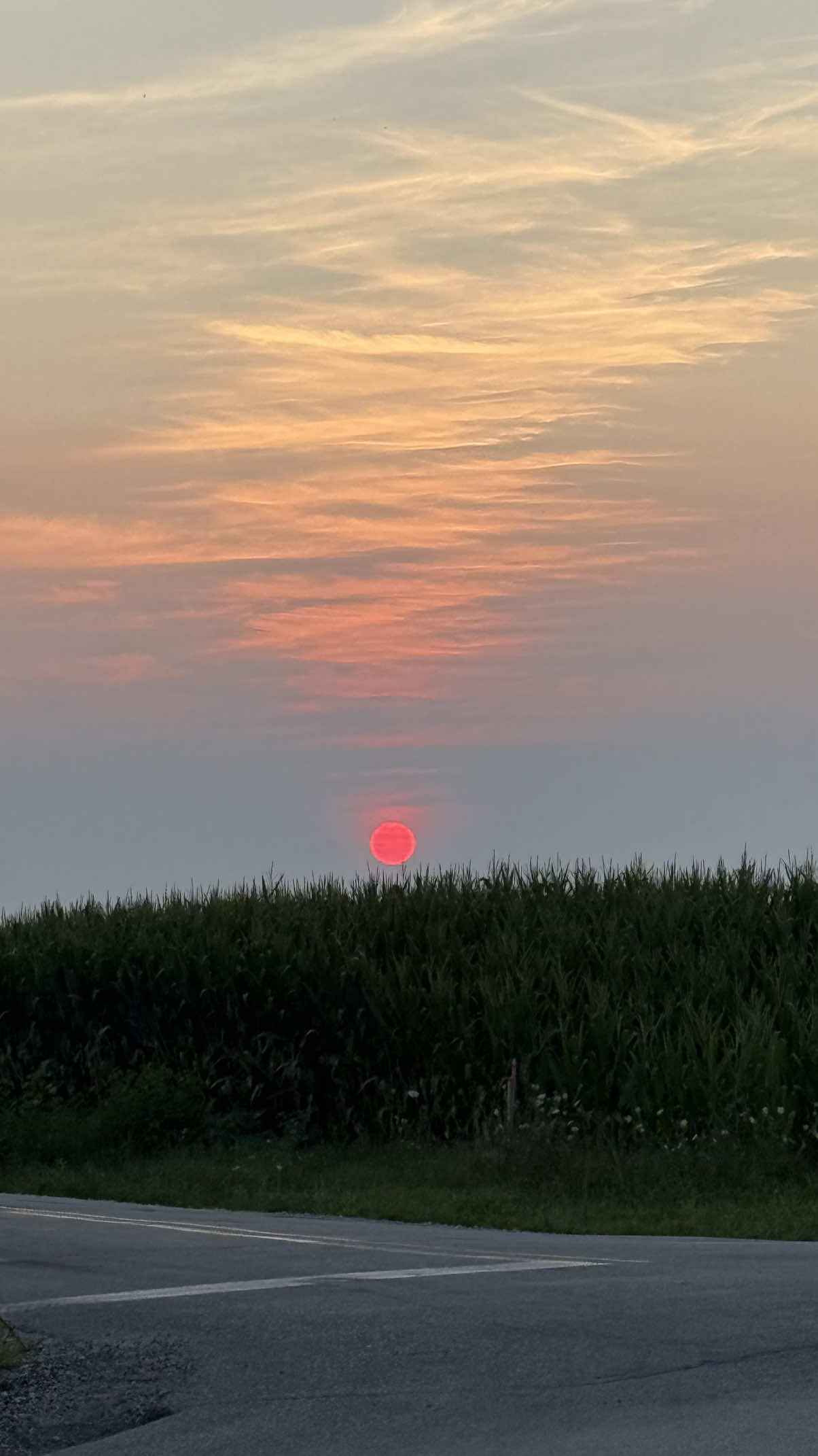 will never be NOT amazed at sunsets 😭🥲🙂‍↕️ 
