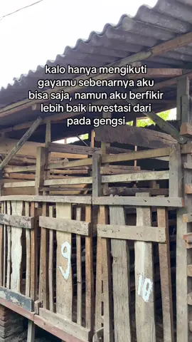 salam peternak muda #annurfarmprobolinggo #peternakmuda #pengusahamuda #fyp 