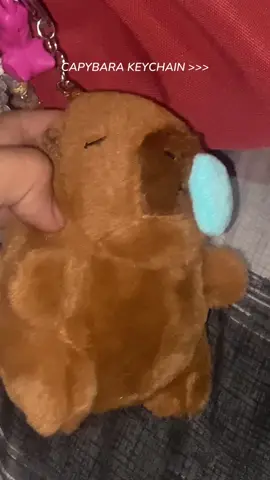 So cuteeeee #capybara #capybarakeychain #cutekeychain #xybca #fyppppppppppppppppppppppp 