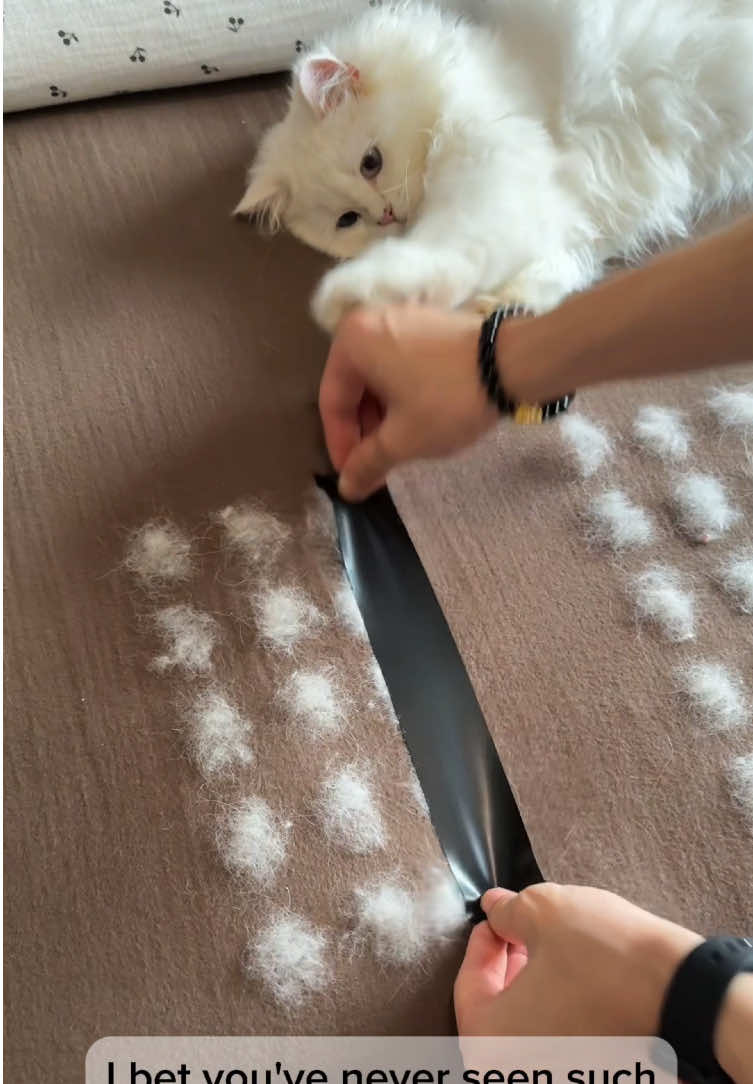 I’ve used every couch pet hair removal tool on the market, this one is my favorite so far #tiktokshop #tiktok #PetsOfTikTok #pethairremoval #petproducts 