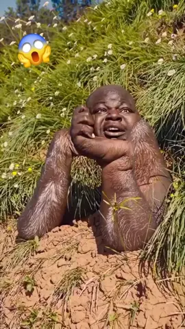 #funnyvideos #comedia #joke 