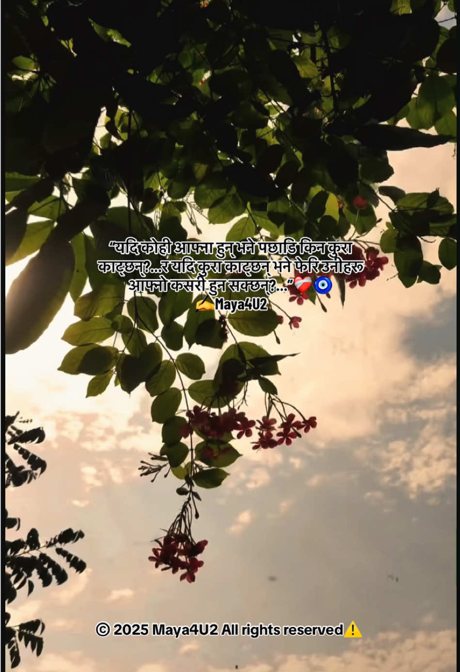 #nepaliquotes #deepthoughts #deeplines #nepalilines #sabda #tiktoknepal #pain #Relationship #selfishworld #toxicrelationship #tixicpeople #fakerealtives #fyp #foryou #foryoupage #maya4u2🧿  