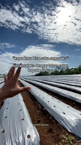 🗿#barahel #petanimuda #petanicabe #anaktani #masukberanda 