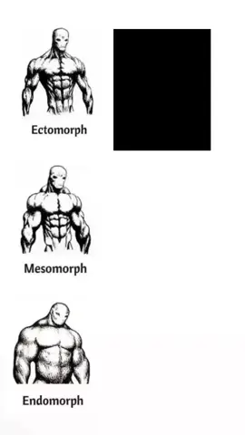 Ectomorph. #aesthetic #aesthetics #foryou #fyp #anime #toji #garo #animeedit