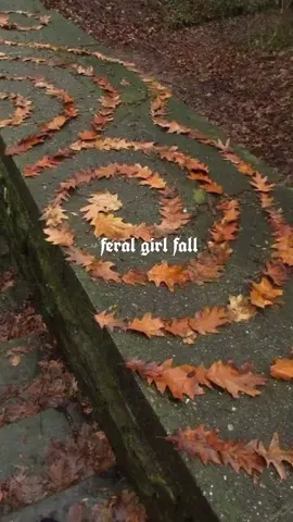 ✨️feral but festive✨️ #falltok #witchtok #fyp #repost #feminineenergy 