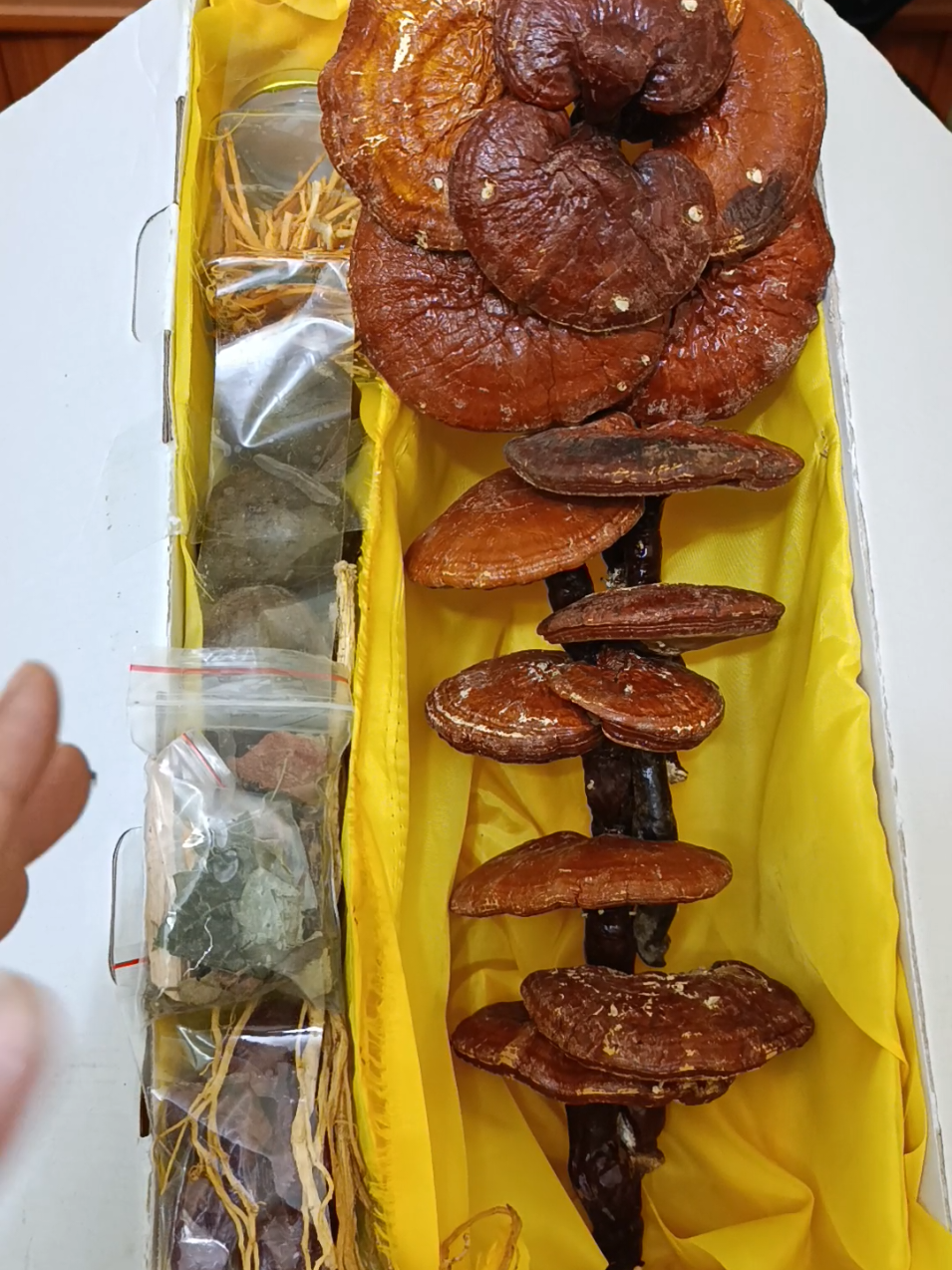 #nấmlinhchiđỏ🍄🍄🍄 #nấmlinhchiđỏ🍄🍄🍄 #nấmlinhchiđỏhànquốc #nấmlinhchiđỏhànquốc #nấmlinhchiđỏhànquốc 