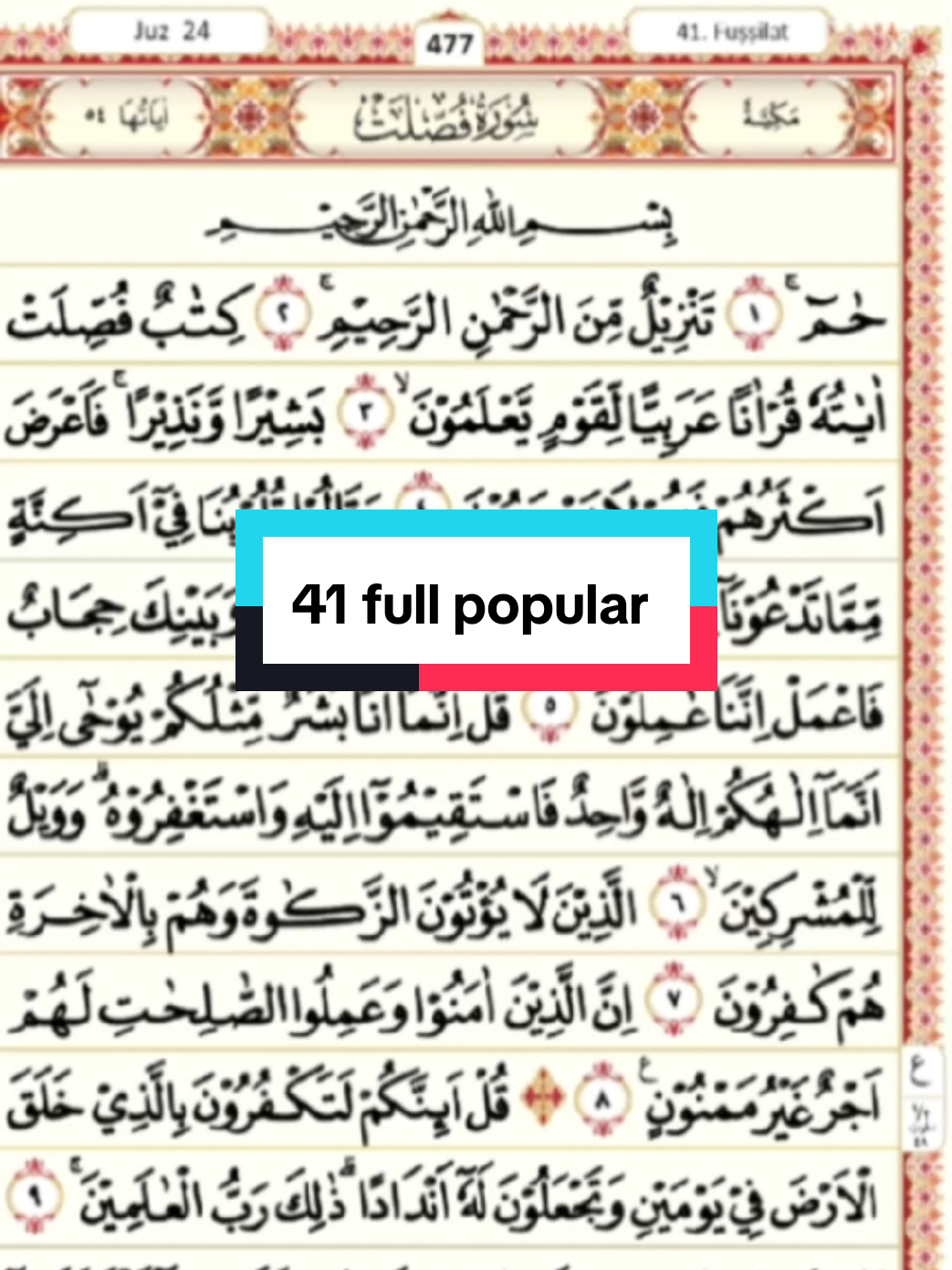 41 full /popular 