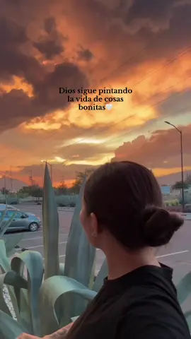 🎨🧡 Sencillamente soy una persona demasiado feliz cuando  veo un atardecer. 🌅  #atardeceres #cielo #nubes #atardecerperfecto #fyp  