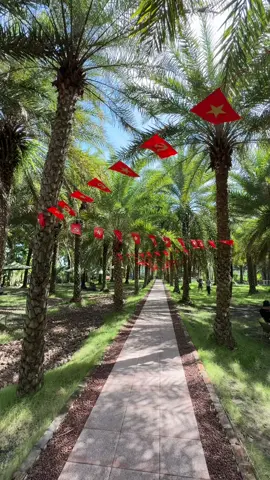 Coffe Chà Là  Sa Đéc-Đồng Tháp ☕️🌤️☘️