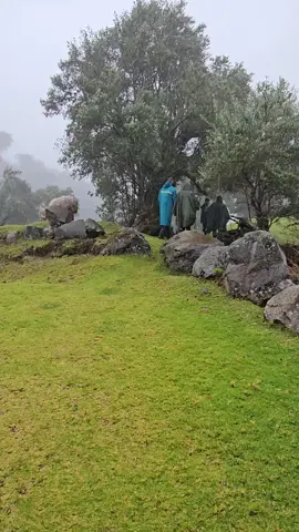 #boquete #panama🇵🇦 #chiriqui 