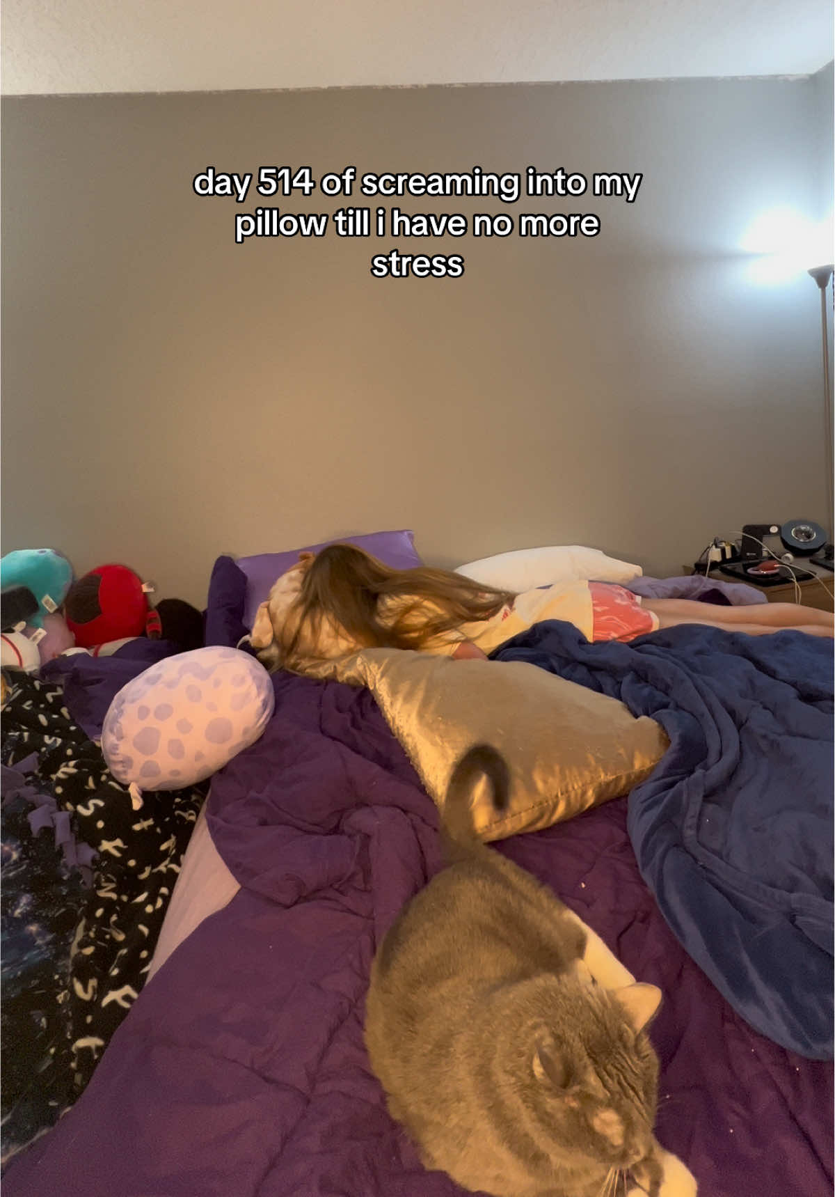 day 514 of screaming into my pillow busy off day still #screamingintomypillow #screaming #pillow #StressRelief #stressreliever 
