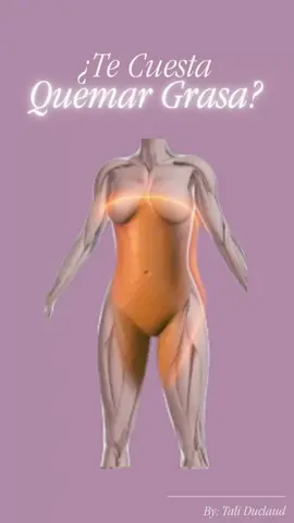 🔥 ¿Te cuesta quemar grasa aunque hagas ejercicio y comas saludable? El secreto está en activar tu metabolismo con el suplemento correcto. ✨ L-Carnitina líquida ultraconcentrada de Farmasi Convierte la grasa en energía y acelera tus resultados 💪🔥 🔹 Beneficios: ✅ Usa la grasa como combustible natural ✅ Te da más energía y resistencia en tus entrenamientos ✅ Favorece la definición muscular ✅ Disminuye la fatiga y el cansancio 💥 Fórmula líquida = absorción rápida y mejores resultados. 👉 ¿Lista para transformar tu cuerpo y tu energía? 💌 Escríbeme “Quiero L-Carnitina” y te cuento cómo obtenerla. 🌿 Hashtags sugeridos: #LCarnitina #MetabolismoActivo #QuemaGrasa #EnergiaNatural #DefinicionMuscular     