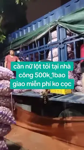Cần nữ lột tỏi tại nhà công 500k_1bao giao miễn phí không cọc #tỏi #vieclam #xuhuong #hottrend #kiemtienonline 