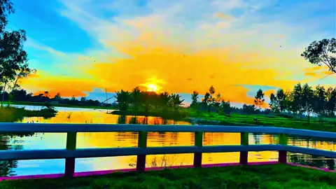 বন্ধু যদি আমার ভ্রমর হইতো...... 😩❤️‍🩹🌿#প্রকৃতি #sky #anfeezemyaccont #greenscreen #viral_video_tiktok 