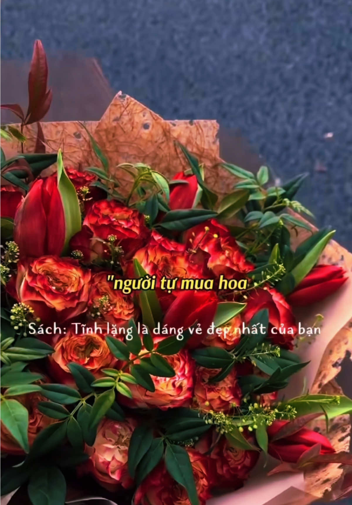 #chualanhtraitim #chualanhtamhon #vungdatyeuthuong 