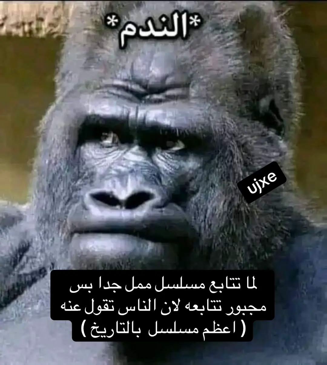 #uxje الحقوق ذا عندي شبيه له بس شلته بالغلط 