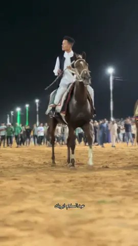 #نوروناباسم_الفارس_والجواد🔥❤️ #عدسة_عبدالسلام_ابريك 