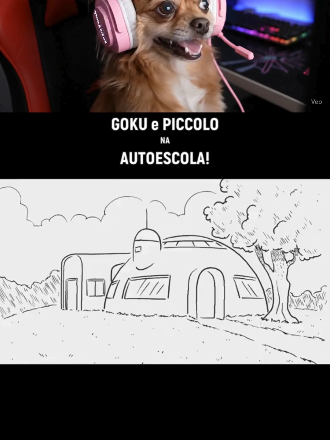 #esfera do dragão #dragonballz #goku #flautim #gohan #anime #animação #rebosteio