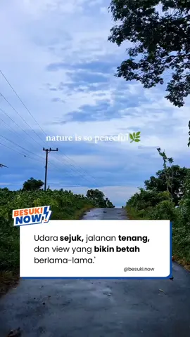 Ada yang notice ini di mana? 👀