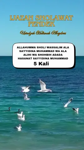 Ijazah Sholawat Pendek #bismillah #ustadzahhalimahalaydrus #sholawatnabi #allahummashollialasayyidinamuhammad #❤❤❤ 