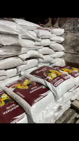 meluncur buat sawit bangka belitung #pupuk #pupuknonsubsidi #sawit #petani #petanimuda 