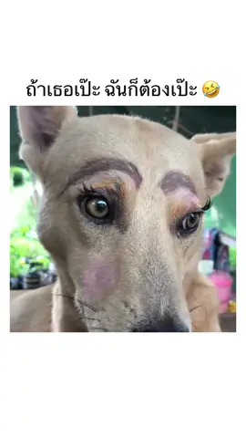 ใครทำน้องงง🤣🤣 #มีม #มีมไทย #คลิปตลก #อย่าปิดการมองเห็น #ชอบดูมีมอะ 