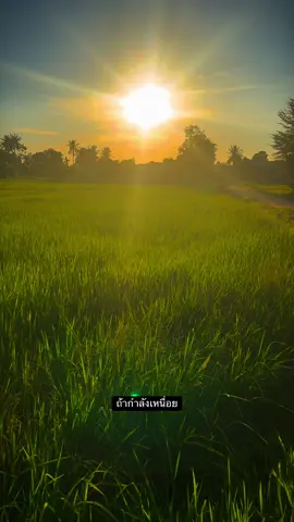 เธอเก่งที่สุดในโลกเลย รู้ไหม🥺🫶🏻#เธรดเพลง #ท้องฟ้า⛅🌈 #ยืมลงสตอรี่ได้🖤🥀 #เธรด #วิวงาม🍃💚 #fyp #ฟีดดด #วิวบ้านนอก🍃 