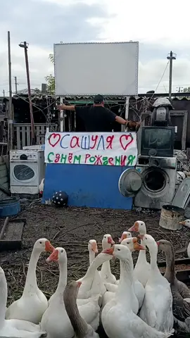 Сашуля с днём рожденья #деньрождения #рекомендации #поздравление 