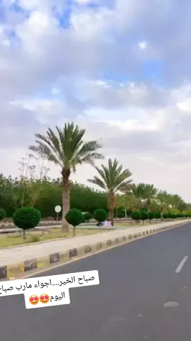 صباح الخير....اجواء مارب صباح اليوم🤩🤩 #الشعب_الصيني_ماله_حل😂😂  #اكسبلورexplore  #مارب  #الشور_الصايب  #الشور_الصايب 