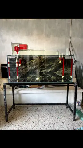 tank 120x50x50 full 12mm optic clear plus top filter china style set pipa skimmer in+out plus mesin pompa. fullset lampu dan rak hollo siap meluncur Jakarta om 🔥🔥🔥🔥🫡🤗 #fyp  #giseanaquatic  #topfilter  #chinastyle  #aquariumhobby 