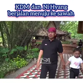 KDM dan Ni Hyang berjalan ke sawah #kdm #jawabarat #kangdedimulyadi #Gubernur #sawah 