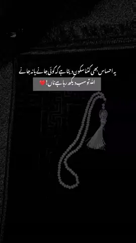 🌸❤️‍🩹-#goviral #fyppp #lines🔥 #poetrystatus #unfreezemyacount 