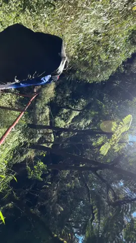 Vibes di jembatan merah Rakum 🍃 #fyp #ranukumbolo #vibes #foryou 