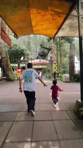 #CapCut mini vlog Ke Taman safari😇#fyppppppppppppppppppppppp #fypシ゚ #viraltiktok #tamansafari 