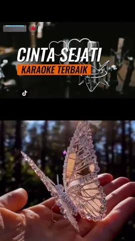 #duet dengan @My Playlist #liriklagu #VoiceEffects # lagu bcl tersyahdu 😊# ainun dan habibie#