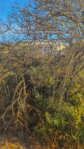 Du willst Online Business Auftauen und auswandern danns schreib uns 👉 #portugal🇵🇹 #algarve #algarveportugal #carvoeiro #auswandern 